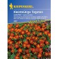 Tagetes tenuifolia 'Luna Rot' rouge