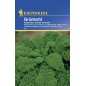 Chou Frisé Kale Vert demi-nain (Halbhoher grüner Krauser)