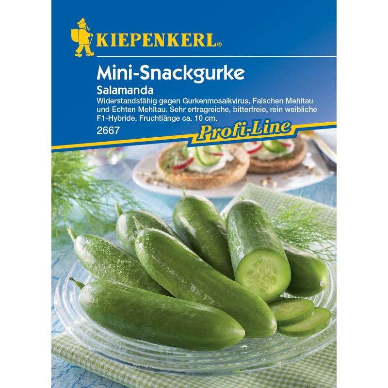 Concombre-Mini-Snack- Salamanda